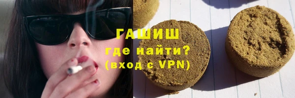 гашик Вяземский