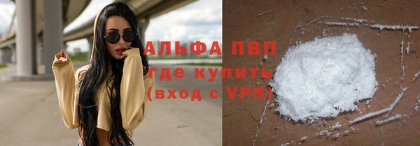 гашик Вяземский