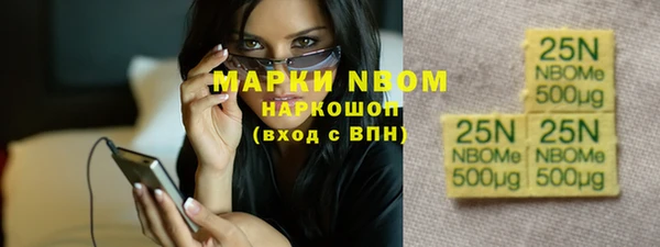 гашик Вяземский