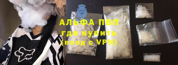гашик Вяземский