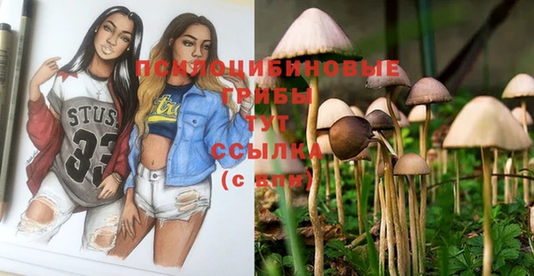 гашик Вяземский