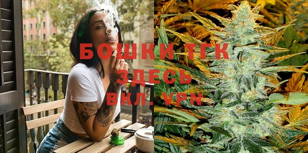 гашик Вяземский